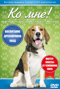 Ко мне! — практическое пособие по содержанию и дрессировке собаки дома